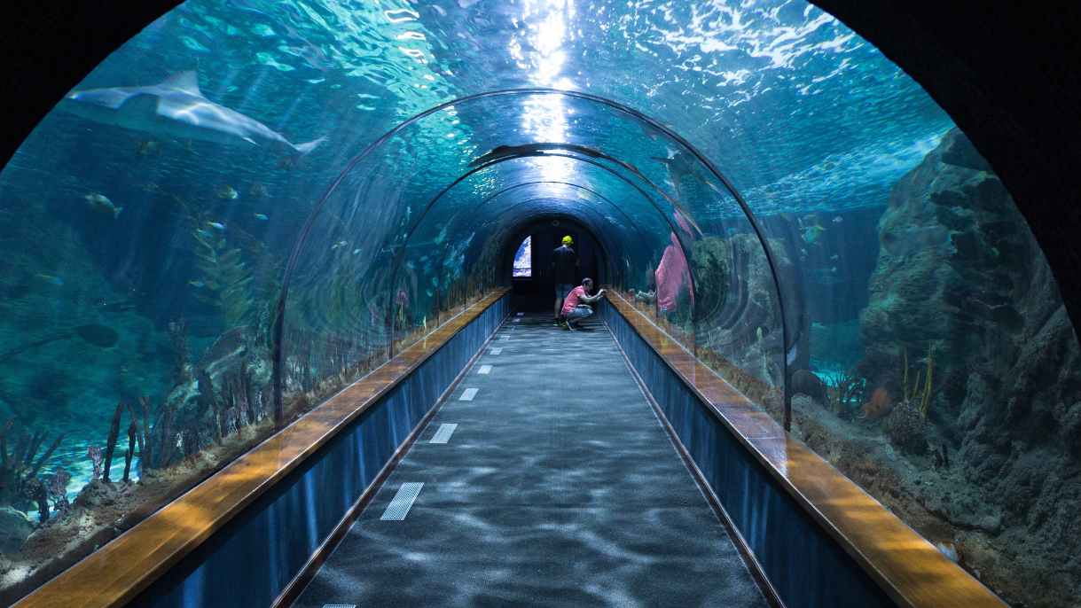 Tempat Liburan Anak di Jakarta yang Seru
